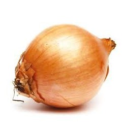 OIGNONS FRAIS LE KG