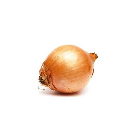 OIGNONS FRAIS LE KG
