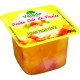 COCKTAIL MOSAIQUE FRUITS X 120