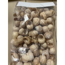 COQUILLES ESCARGOTS LE SACHET DE 96